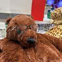 Profilbild